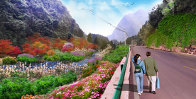 溪沟 道路 野趣 湿地效果图