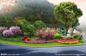 街头转角 道路绿化