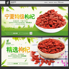 枸杞海报