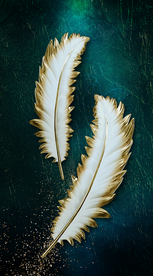 北欧简约抽象羽毛装饰画