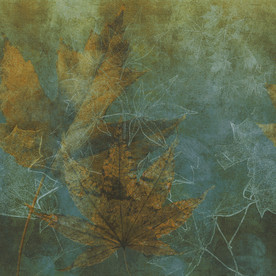 高清天然石材贴图瓷砖大理石