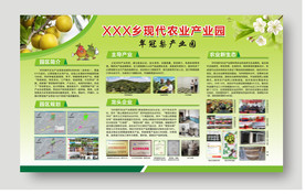 翠冠梨