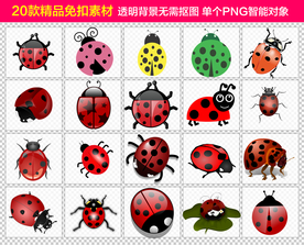 精品甲壳虫免抠素材设计
