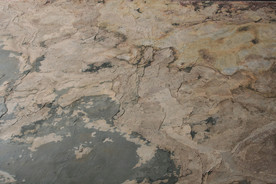 高清木纹 木纹背景 木纹贴图