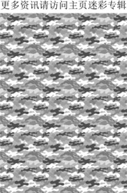 陆军迷彩 灰色迷彩 男士迷彩