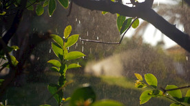 柔和的雨和阳光