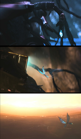 机械碟蛹破茧成蝶视频素材