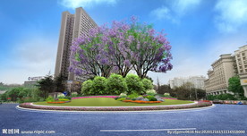 转盘  交通岛 绿化