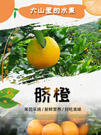 脐橙