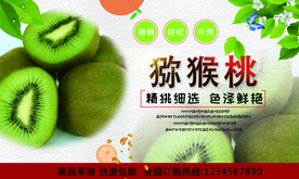猕猴桃