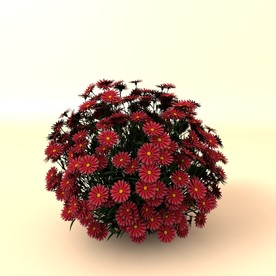 树木模型 植物模型 花草模型