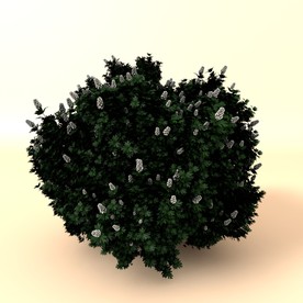 树木模型 植物模型 花草模型