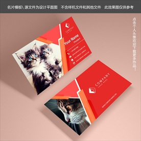 宠物名片
