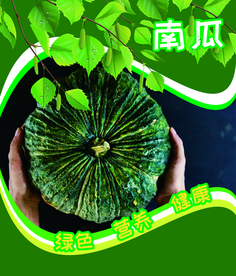 南瓜