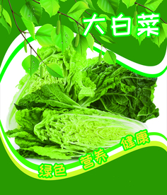 大白菜