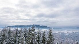 圣诞 庆典 节日 新年  喜庆