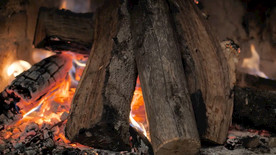 圣诞 庆典 节日  烧火