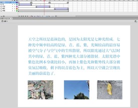 点击图片对应文字树叶天空花卉
