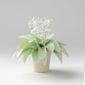 C4D盆栽建模渲染