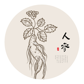 人参线稿手绘