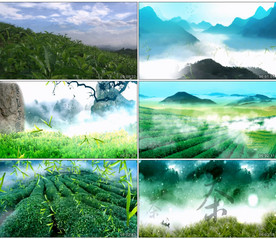 茶山情歌 舞台大屏幕背景视频
