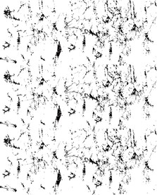 浪纹 笔刷 笔触 浪点  裂纹