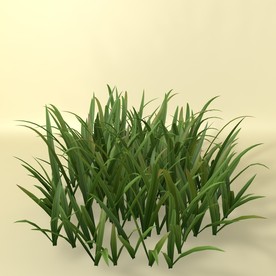 花草模型 植物模型 花卉模型