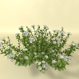 花草模型 植物模型 花卉模型