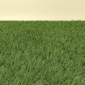 花草模型 植物模型 花卉模型