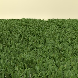 花草模型 植物模型 花卉模型