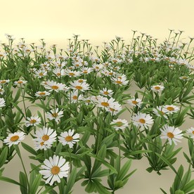 花草模型 植物模型 花卉模型