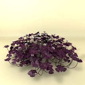 花草模型 植物模型 花卉模型