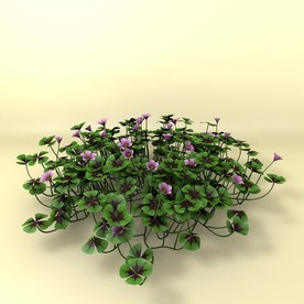 花草模型 植物模型 花卉模型