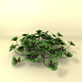 花草模型 植物模型 花卉模型