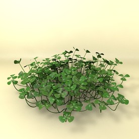 花草模型 植物模型 花卉模型