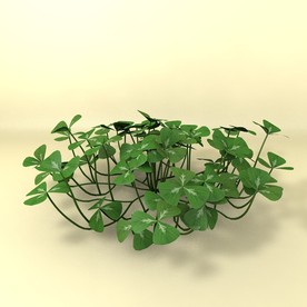 花草模型 植物模型 花卉模型