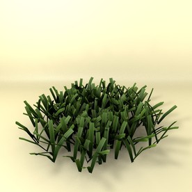 花草模型 植物模型 花卉模型