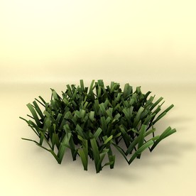 花草模型 植物模型 花卉模型