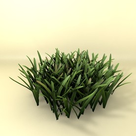 花草模型 植物模型 花卉模型