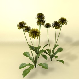 花草模型 植物模型 花卉模型