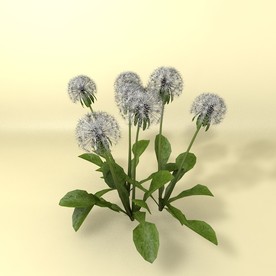 花草模型 植物模型 花卉模型