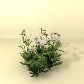 花草模型 植物模型 花卉模型