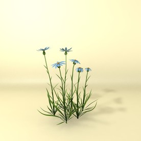 花草模型 植物模型 花卉模型