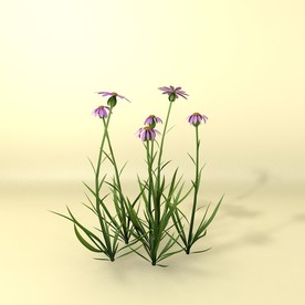 花草模型 植物模型 花卉模型