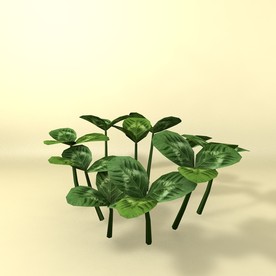 花草模型 植物模型 花卉模型