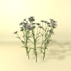 花草模型 植物模型 花卉模型