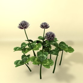 花草模型 植物模型 花卉模型