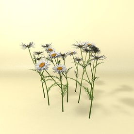 花草模型 植物模型 花卉模型