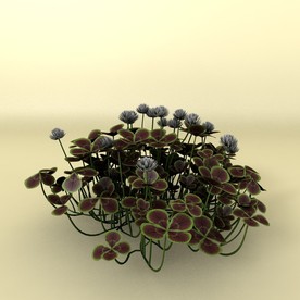 花草模型 植物模型 花卉模型