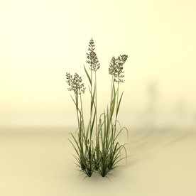 花草模型 植物模型 花卉模型